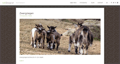 Desktop Screenshot of netdesigner.ch